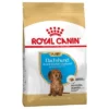 Royal Canin Teckel Puppy Hondenvoer 1 Royal Canin Teckel Puppy Hondenvoer -Exporteren Bitiba winkel 84603 pla royalcanin puppyhund dachshund 6
