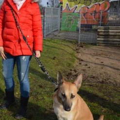 Julius K9 JULIUS-K9 IDC® Verstelbare Hondenriem -Exporteren Bitiba winkel 89698 juliusk9 idcadjustableropeleash hs 11 2