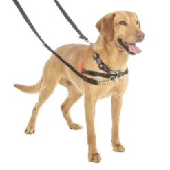 HALTI Trainingslijn -Exporteren Bitiba winkel 94508 coa halti trainingsleine hs3 8