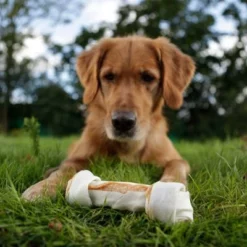 8in1 Dental Delights Kauwbot 18 8in1 Dental Delights Kauwbot -Exporteren Bitiba winkel 94686 8in1 delights kauknochen huhn moodpicture 03 7