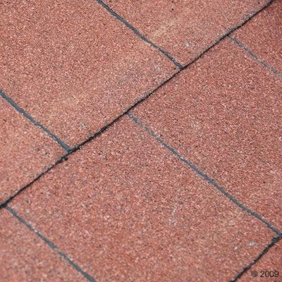 Hondenhok "Spike Special" 10 Hondenhok "Spike Special" - Afbeelding 8