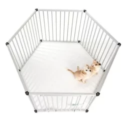 Puppy Ren Van Aluminium -Exporteren Bitiba winkel 99504 welpenfreilaufgehege fg 5870 1