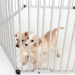 Puppy Ren Van Aluminium -Exporteren Bitiba winkel 99504 welpenfreilaufgehege fg 5875 9