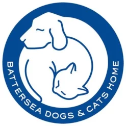 Pet Teezer De-shedding Brush Small -Exporteren Bitiba winkel 99699 newflag petteezer desheddingbrush purple hs 06 4