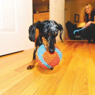 Chuckit! Indoor Ball 4 Chuckit! Indoor Ball - Afbeelding 2