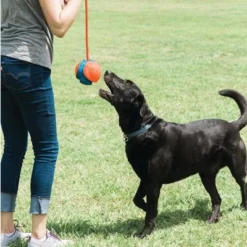 Chuckit! Rope Fetch 10 Chuckit! Rope Fetch -Exporteren Bitiba winkel 99704 petmate chuckit rope fetch hs 04 5