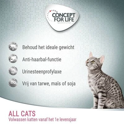 Concept For Life All Cats 4 Concept For Life All Cats - Afbeelding 2