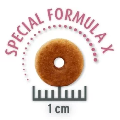 Concept For Life All Cats 11 Concept For Life All Cats -Exporteren Bitiba winkel all cats opt copy 4