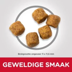 Hill's Science Plan Mature Adult Medium Met Lam & Rijst -Exporteren Bitiba winkel atf10 604379 food shot 9