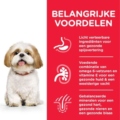 Hill's Science Plan Mature Adult Small & Mini Met Kip 6 Hill's Science Plan Mature Adult Small & Mini Met Kip - Afbeelding 4