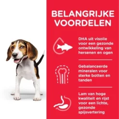 Hill's Science Plan Puppy <1 Medium Met Lam & Rijst -Exporteren Bitiba winkel atf8 604353 key benefits 4