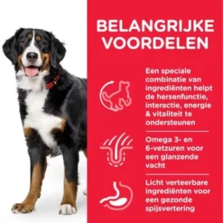Hill's Science Plan Adult 7+ Youthful Vitality Large Breed Met Kip 10 Hill's Science Plan Adult 7+ Youthful Vitality Large Breed Met Kip -Exporteren Bitiba winkel atf8 604369 key benefits 5