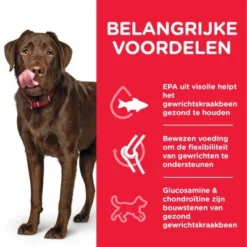 Hill's Science Plan Adult Healthy Mobility Large Breed Met Kip -Exporteren Bitiba winkel atf8 604370 key benefits 3