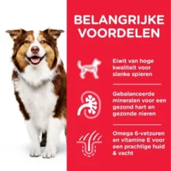 Hill's Science Plan Mature Adult Medium Met Kip -Exporteren Bitiba winkel atf8 604378 key benefits 4