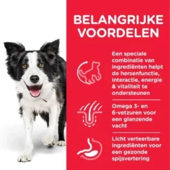 Hill's Science Plan Adult 7+ Senior Vitality Medium Met Kip 13 Hill's Science Plan Adult 7+ Senior Vitality Medium Met Kip -Exporteren Bitiba winkel atf8 604384 key benefits 0