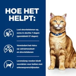 Hill´s Prescription Diet Feline C/D Multicare Kattenvoer Met Kip -Exporteren Bitiba winkel atf 605596 how it helps 6