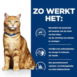 Hill´s Prescription Diet Feline C/D Multicare Kattenvoer Met Kip -Exporteren Bitiba winkel atf 605596 how it works 3