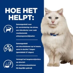 Hill´s Prescription Diet C/d Urinary Stress Kattenvoer Met Kip 17 Hill´s Prescription Diet C/d Urinary Stress Kattenvoer Met Kip -Exporteren Bitiba winkel atf 605600 how it helps 8