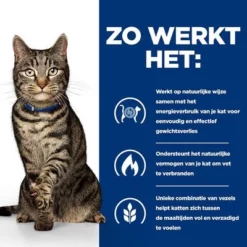 Hill´s Prescription Diet Feline Metabolic Weight Management Kattenvoer Met Kip 12 Hill´s Prescription Diet Feline Metabolic Weight Management Kattenvoer Met Kip -Exporteren Bitiba winkel atf 605610 how it works 9