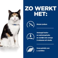 Hill´s Prescription Diet Feline Y/D Schildklierproblemen Kattenvoer Original 13 Hill´s Prescription Diet Feline Y/D Schildklierproblemen Kattenvoer Original -Exporteren Bitiba winkel atf 605627 how it works 6