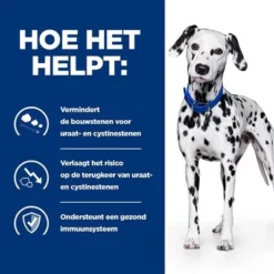 Hill's Prescription Diet Canine U/D Nierziektes/Struviet Hondenvoer Original -Exporteren Bitiba winkel atf 605632 how it helps 6