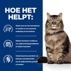 Hill's Prescription Diet Feline Gastrointestinal Biome Kattenvoer -Exporteren Bitiba winkel atf 605646 how it helps 2