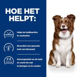 Hill's Prescription Diet Canine Derm Defense Hondenvoer Met Kip -Exporteren Bitiba winkel atf 605651 how it helps 4