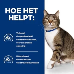 Hill´s Prescription Diet Feline S/D Struvietstenen Kattenvoer Met Kip 16 Hill´s Prescription Diet Feline S/D Struvietstenen Kattenvoer Met Kip -Exporteren Bitiba winkel atf 605652 how it helps 0