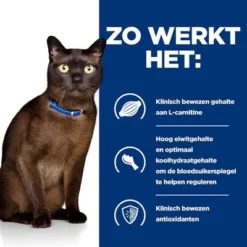 Hill's Prescription Diet Feline M/D Diabetes/Low Fat Kattenvoer Met Kip -Exporteren Bitiba winkel atf 605661 how it works 9