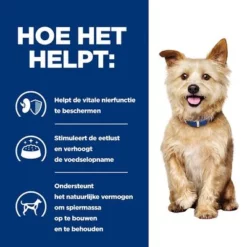 Hill's Prescription Diet Canine K/D Kidney Care Hondenvoer Met Kip -Exporteren Bitiba winkel atf 605672 how it helps 4 1