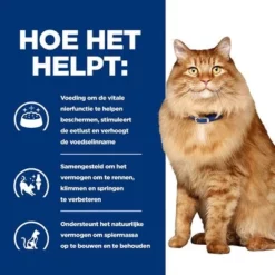 Hill's Prescription Diet Feline K/D +Mobility Kattenvoer Met Kip -Exporteren Bitiba winkel atf 605680 how it helps 9