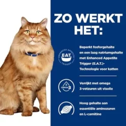 Hill's Prescription Diet Feline K/D +Mobility Kattenvoer Met Kip -Exporteren Bitiba winkel atf 605680 how it works 3