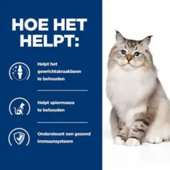 Hill´s Prescription Diet Feline J/d Joint Care Kattenvoer Met Kip -Exporteren Bitiba winkel atf 605857 how it helps 9