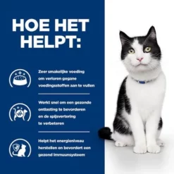Hill´s Prescription Diet Feline I/D Maag-/darmziektes Kattenvoer Met Kip -Exporteren Bitiba winkel atf 605877 how it helps 6