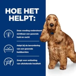 Hill's Prescription Diet Canine Z/D Food Sensitivities Hondenvoer Original -Exporteren Bitiba winkel atf 605911 how it helps 1