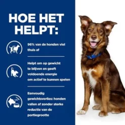 Hill's Prescription Diet Canine Metabolic Hondenvoer Met Kip -Exporteren Bitiba winkel atf 605944 how it helps 3 9