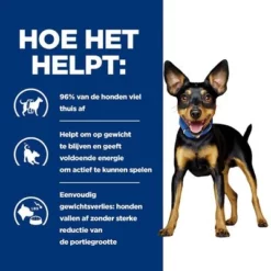 Hill's Prescription Diet Canine Metabolic Mini Hondenvoer 15 Hill's Prescription Diet Canine Metabolic Mini Hondenvoer -Exporteren Bitiba winkel atf 605946 how it helps copy 6