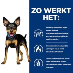 Hill's Prescription Diet Canine Metabolic Mini Hondenvoer 14 Hill's Prescription Diet Canine Metabolic Mini Hondenvoer -Exporteren Bitiba winkel atf 605946 how it works 5
