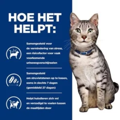 Hill's Prescription Diet C/d Urinary Stress + Metabolic Kattenvoer 21 Hill's Prescription Diet C/d Urinary Stress + Metabolic Kattenvoer -Exporteren Bitiba winkel atf 605983 how it helps 2