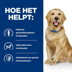 Hill's Prescription Diet Canine J/D Joint Care Hondenvoer Met Kip 15 Hill's Prescription Diet Canine J/D Joint Care Hondenvoer Met Kip -Exporteren Bitiba winkel atf 606253 how it helps 6