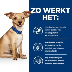Hill's Prescription Diet I/d Digestive Care Stoofpotje Met Kip Voor Honden 22 Hill's Prescription Diet I/d Digestive Care Stoofpotje Met Kip Voor Honden -Exporteren Bitiba winkel atf 606353 how it works 5