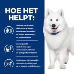 Hill's Prescription Diet Canine K/D +Mobility Hondenvoer Original -Exporteren Bitiba winkel atf 606385 how it helps 6