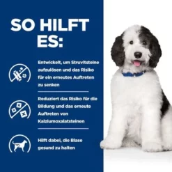 Hill's Prescription Diet C/d Multicare Kip & Groente Ragout -Exporteren Bitiba winkel atf 606412 how it helps 1