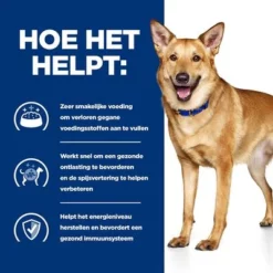 Hill's Prescription Diet Canine I/D Digestive Care Hondenvoer Met Kalkoen -Exporteren Bitiba winkel atf 606447 how it helps 2