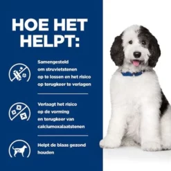 Hill's Prescription Diet Canine C/D Urinewegen Hondenvoer Met Kip -Exporteren Bitiba winkel atf 607025 how it helps 8