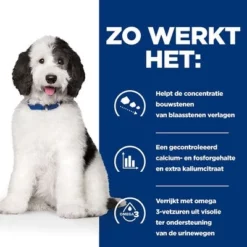 Hill's Prescription Diet Canine C/D Urinewegen Hondenvoer Met Kip -Exporteren Bitiba winkel atf 607025 how it works 4