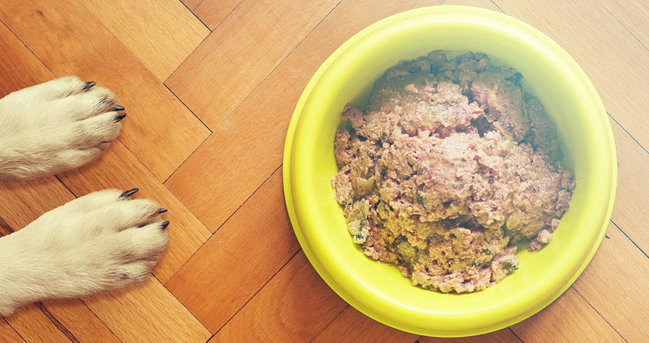 Exporteren Bitiba winkel -Exporteren Bitiba winkel beste natvoer