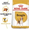Royal Canin Beagle Adult Hondenvoer 2 Royal Canin Beagle Adult Hondenvoer -Exporteren Bitiba winkel bhn beagle rc bhn beagle mv eretailkit nl nl 0