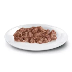 Concept For Life British Shorthair Adult Kattenvoer - Verbeterde Receptuur! -Exporteren Bitiba winkel british shorthair ragout shop 2