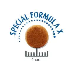 Concept For Life Calm 9 Concept For Life Calm -Exporteren Bitiba winkel calm krokette 1000x1000px 7